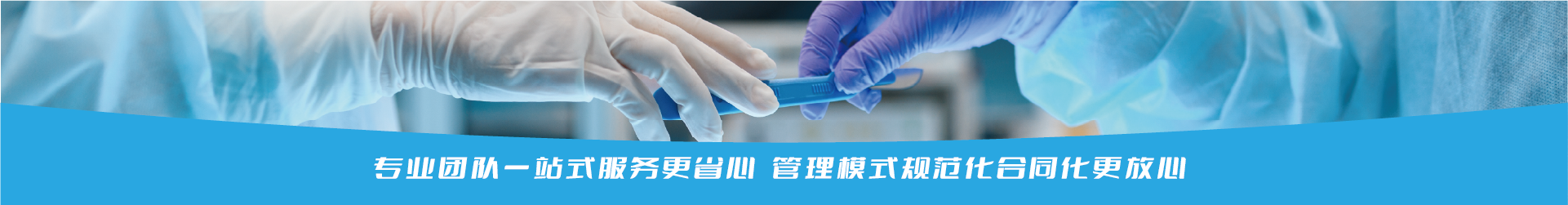 试管百科